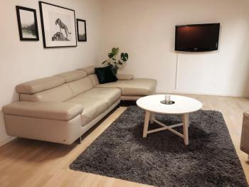 1 bedroom Copenhagen Designer Flat, Kodaň (fotografie 3)