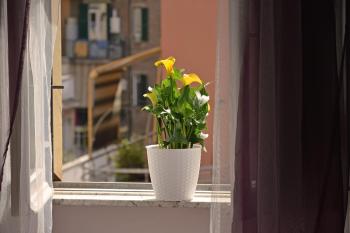 Casa Via Cesena, Rome (photo 3)