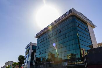 The Hera Platinum Hotel, Estambul (foto 4)