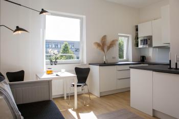 Grüne Oase in der Innenstadt, Düsseldorf (photo 2)