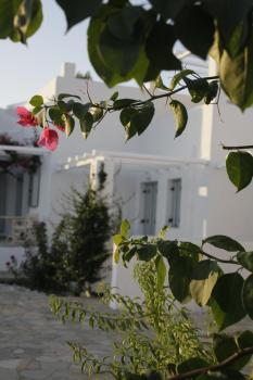 Tiepolo Skyros, Skiros (foto 3)