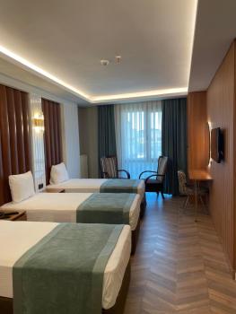 Gumus Palace Hotel, Istanbul (photo 4)
