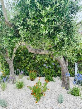Appartamento Sole, Numana (foto 5)