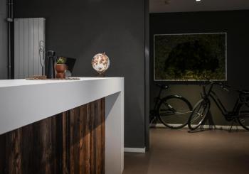 Home Swiss Hotel, Ginevra (foto 4)