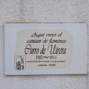 MiRa Los Patios, Cordoue (photo 3)