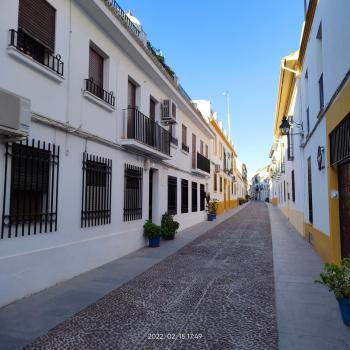 MiRa Los Patios, Cordoue (photo 4)
