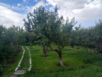Акбермет, Bokonbayevo (foto 3)