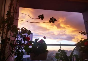 Lucky place, Tirana (photo 3)
