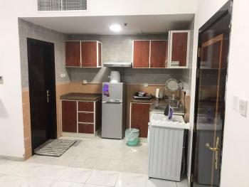 Apartment in Ajman,furnished studio, Ajman (foto 3)