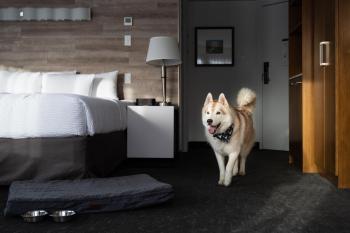 Elk + Avenue Hotel, Banff (foto 3)