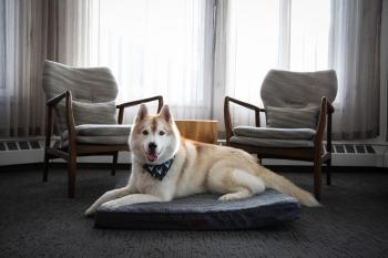 Elk + Avenue Hotel, Banff (foto 4)