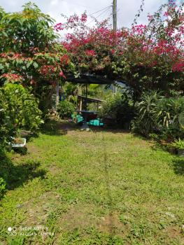 pequeña casa en finca cafetera, Medellín (Foto 4)