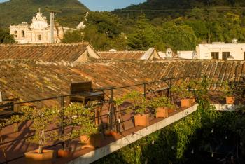 Tzunun Hostel, Antigua Guatemala (foto 3)