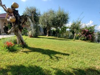 Villa Nikol, Tirana (fotografie 4)