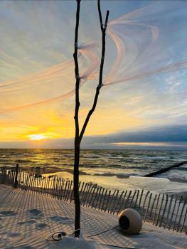 Schwalbennest, Zingst (fotografie 4)