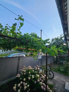 Your corner in Racha შენი კუთხე რაჭაში, Ambrolauri (foto 4)