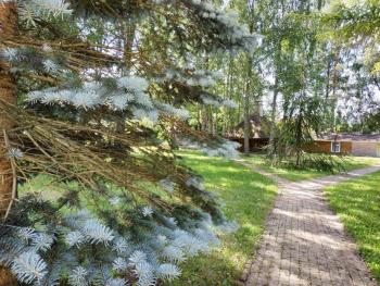 Dune cottage, Jūrmala (foto 4)