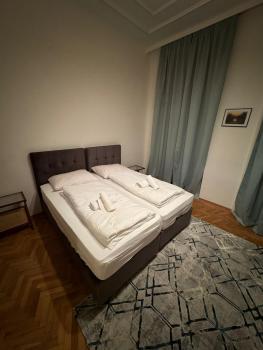 Centrally-Located authentic apartment, Vídeň (fotografie 2)
