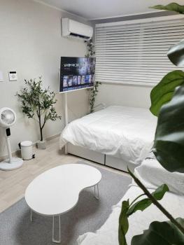 Moon House In Seoul #Quiet #Airport transport nearby#1 min to line2 nakseongdae subway, Soul (fotografie 2)