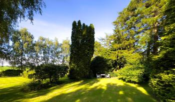Dyrlev Bed & Breakfast, Præstø (Foto 4)