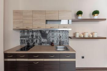 Apartma Relax Gaja - In the most beautiful city in the world, Ljubljana (photo 3)