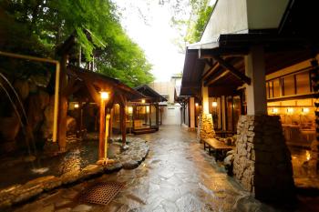 Hakone Kamon, Hakone (zdjęcie 4)