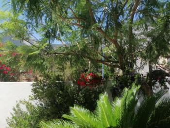 Blue Trane, Cala Gonone (Foto 3)