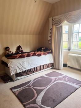 Private Room in Charming Detached House in Newington, Edimburgo (foto 4)