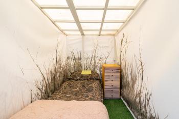 Garden Camping, Tallinn (photo 4)