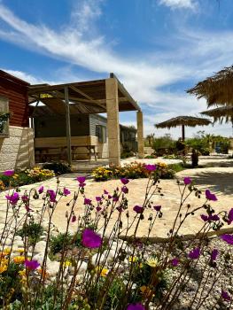 חוות כרמי הר הנגב, Mitzpe Ramon (foto 3)