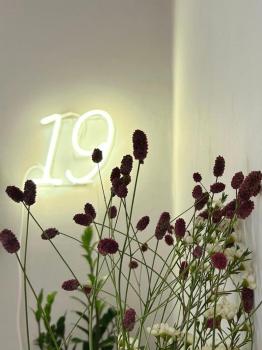 Domus 19, Florencie (fotografie 4)