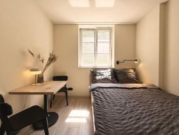 Natural apartment in the City Center - Old Town, Breslau (Foto 3)