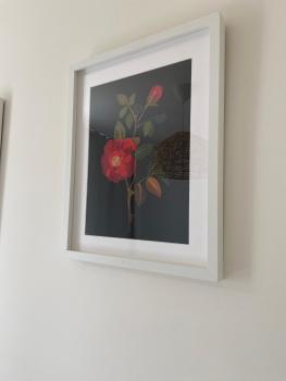 Perła na Grabiszynie by Apartamenty na dni Wrocław, Breslau (Foto 4)
