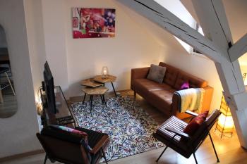 Charmant duplex privatisé, climatisé, 2 chambres, Strasbourg (photo 5)