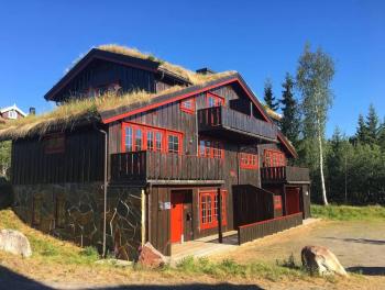 Storsten 725C, Trysil (foto 3)