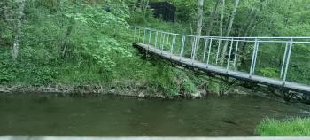 Teddy, Mărişel (foto 2)