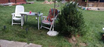 Teddy, Mărişel (foto 4)