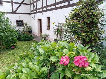Zimmervermietung, Dresden (foto 4)
