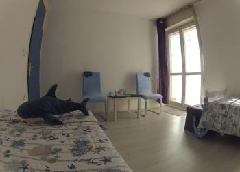 Adriatic Pearl, Split (photo 5)