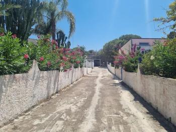 Elivulcano4 - PROPPRO SRL - isole eolie, Vulcano (foto 3)