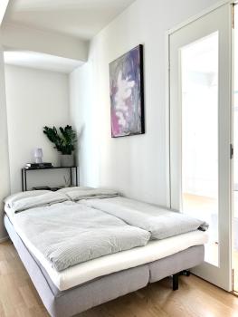 modern apartment with private terrace, Helsinky (fotografie 3)