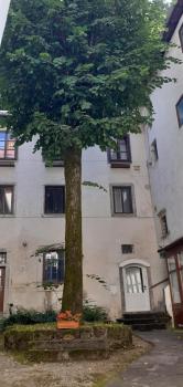 Lovely Old City-Center Apartment, Liubliana (foto 2)