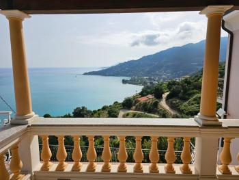 Avocado, Ventimiglia (zdjęcie 4)