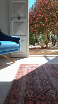 The Ranch, Kfar Hazîr (fotografie 4)