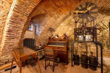 The Throne - M Museum Hotel, Sighișoara (zdjęcie 4)