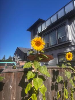 New, Spacious 2 Bedrooms in Downtown With Free Parking!, Maple Ridge District Municipality (zdjęcie 5)