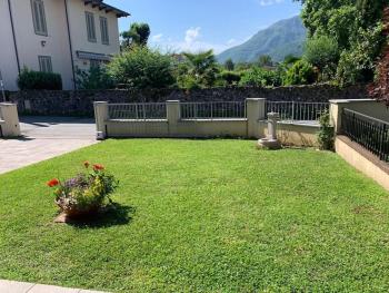 Elicriso, Barga (Foto 3)
