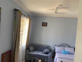 Anne studio & Home stay, Mwanza (foto 3)