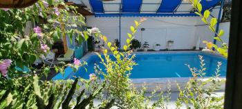 Garden Guest House, Tirana (zdjęcie 5)