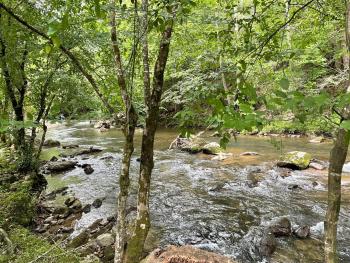 Rippling Waters #278, Cosby (fotografie 4)